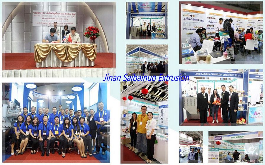 Jinan Saibainuo Extrusion Machine Exhibition